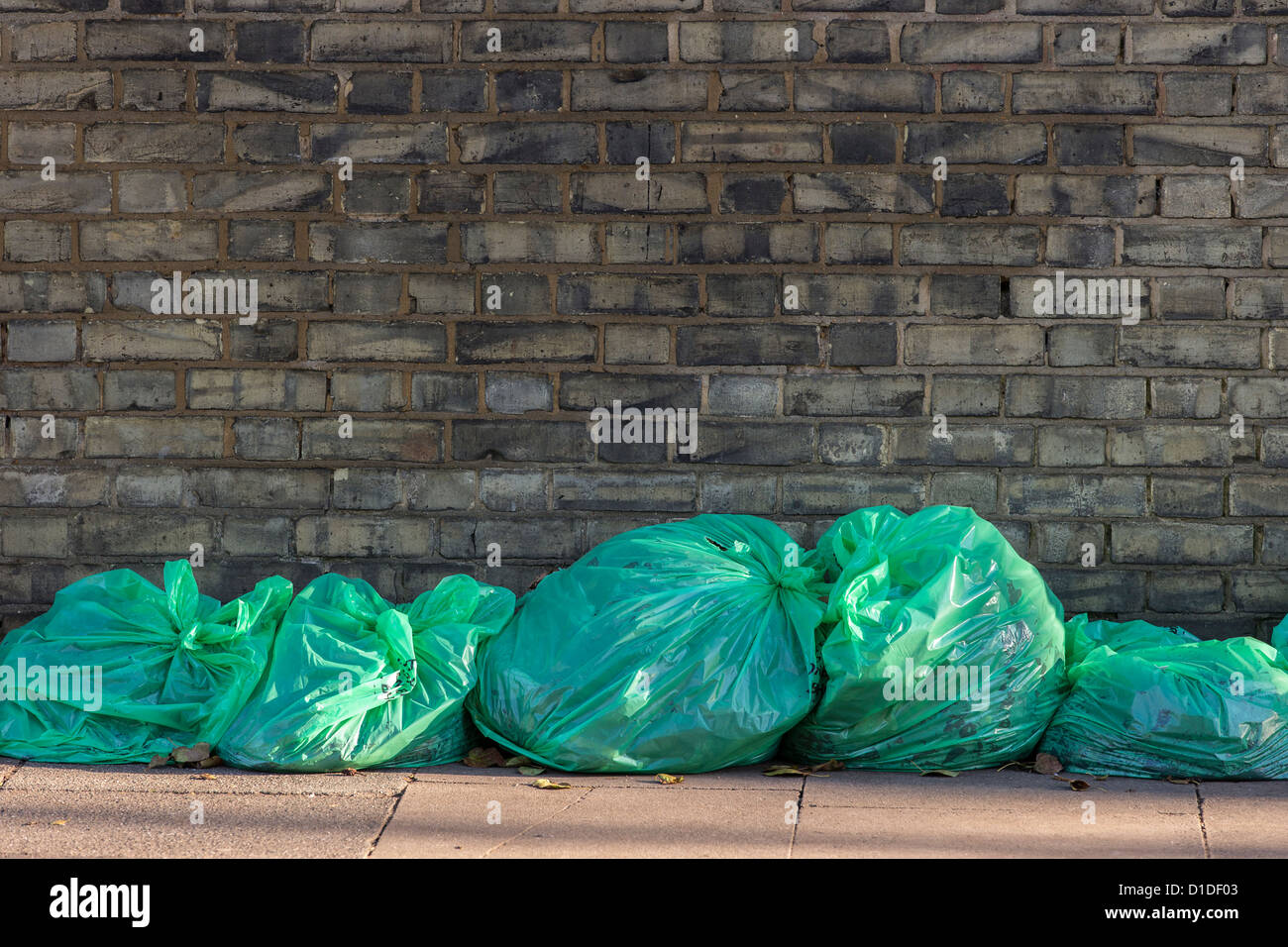 Bolsas de basura verde suministrado por consejo de Hounslow y lleno de hojas de otoño se alinearon listos para su recolección Foto de stock