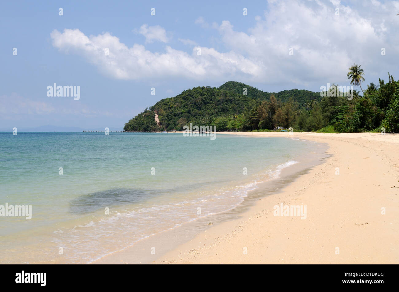 Cardumen de pequeños peces en el mar, en la playa de arena blanca pared Loh Ko Yao Yai island Tailandia Foto de stock