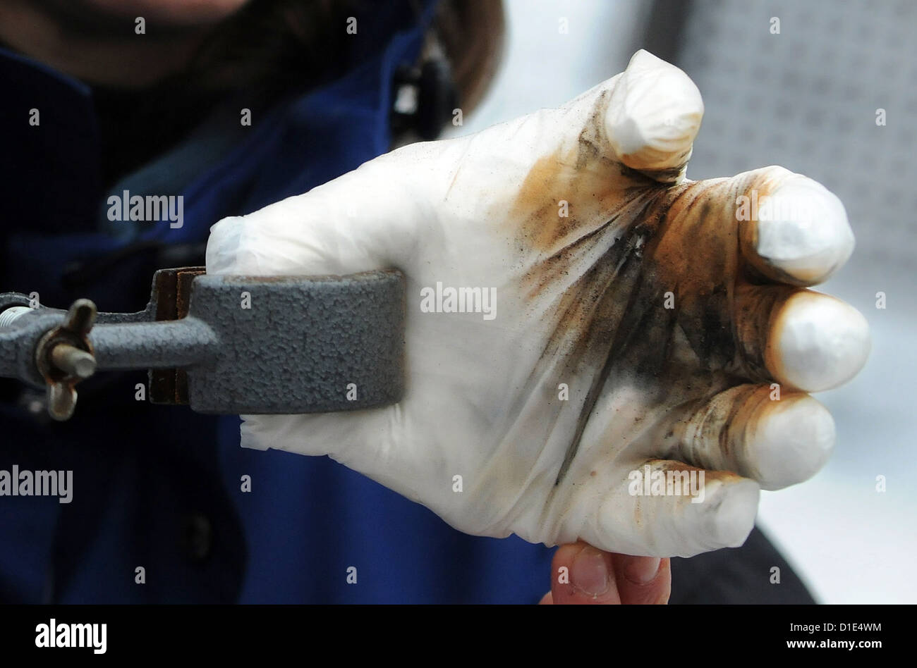 Heidrun Fink, empleado de la pirotecnia, departamento del Instituto Federal de Investigación y prueba de materiales (BAM) muestra un modelo de mano después de una explosión de un artefacto explosivo en Berlín, Alemania, el 14 de diciembre de 2012. Foto: Laurin Schmid Foto de stock