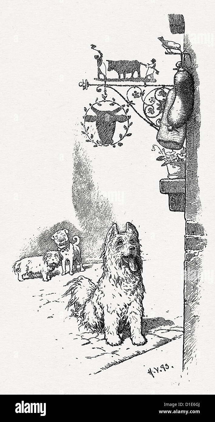 El perro y el gorrión Fotografía de stock - Alamy