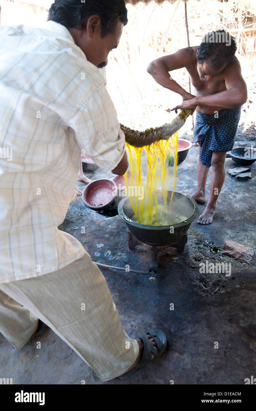 Dos hombres exprimiendo colorante amarillo de tejido de algodón, tejido Naupatana aldea rural de Orissa, India Foto de stock