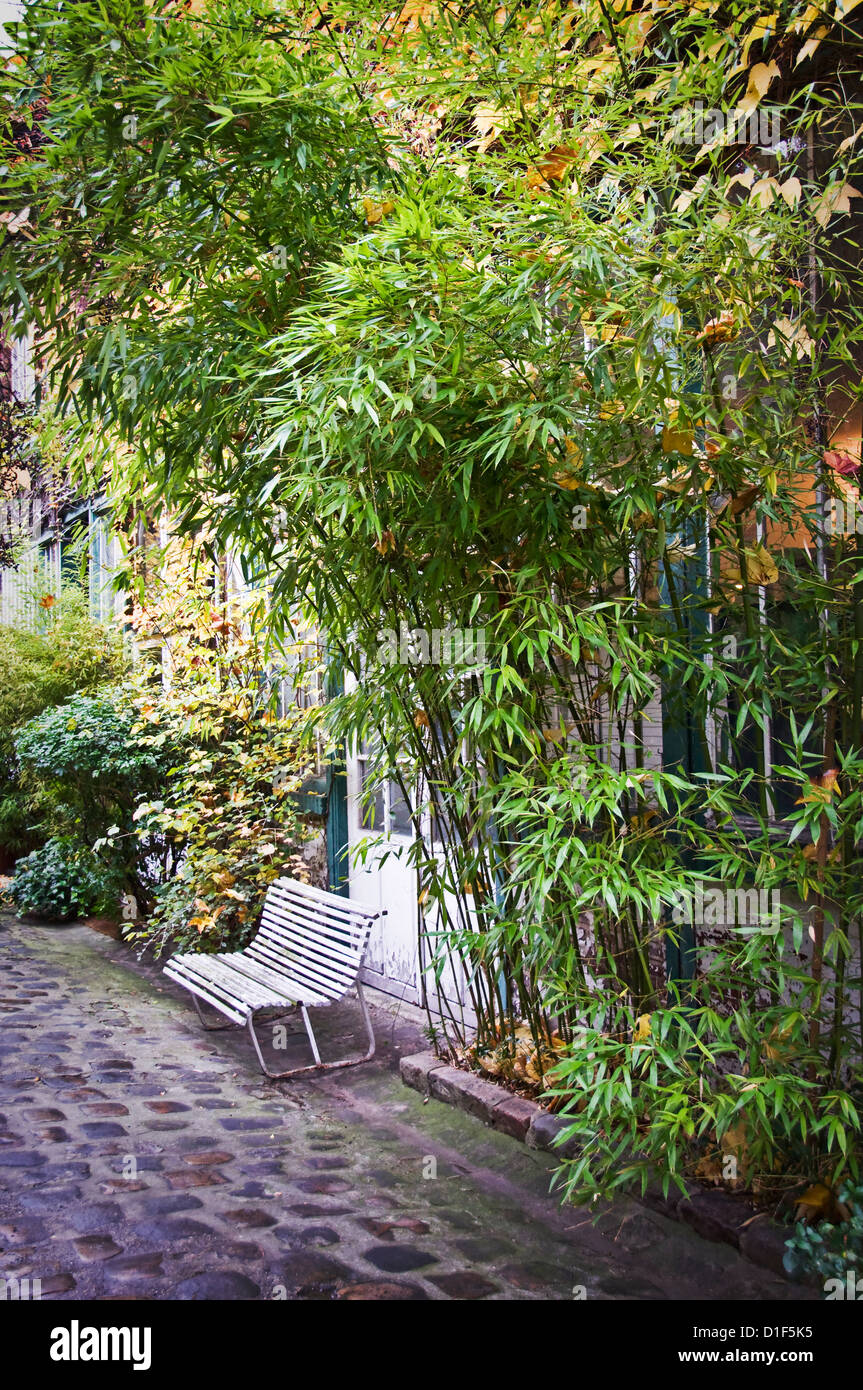 Una banqueta y bambúes en un callejón pavimentado artista cerca del Musée du Montparnasse - Villa Marie Vassilieff, París, Francia Foto de stock