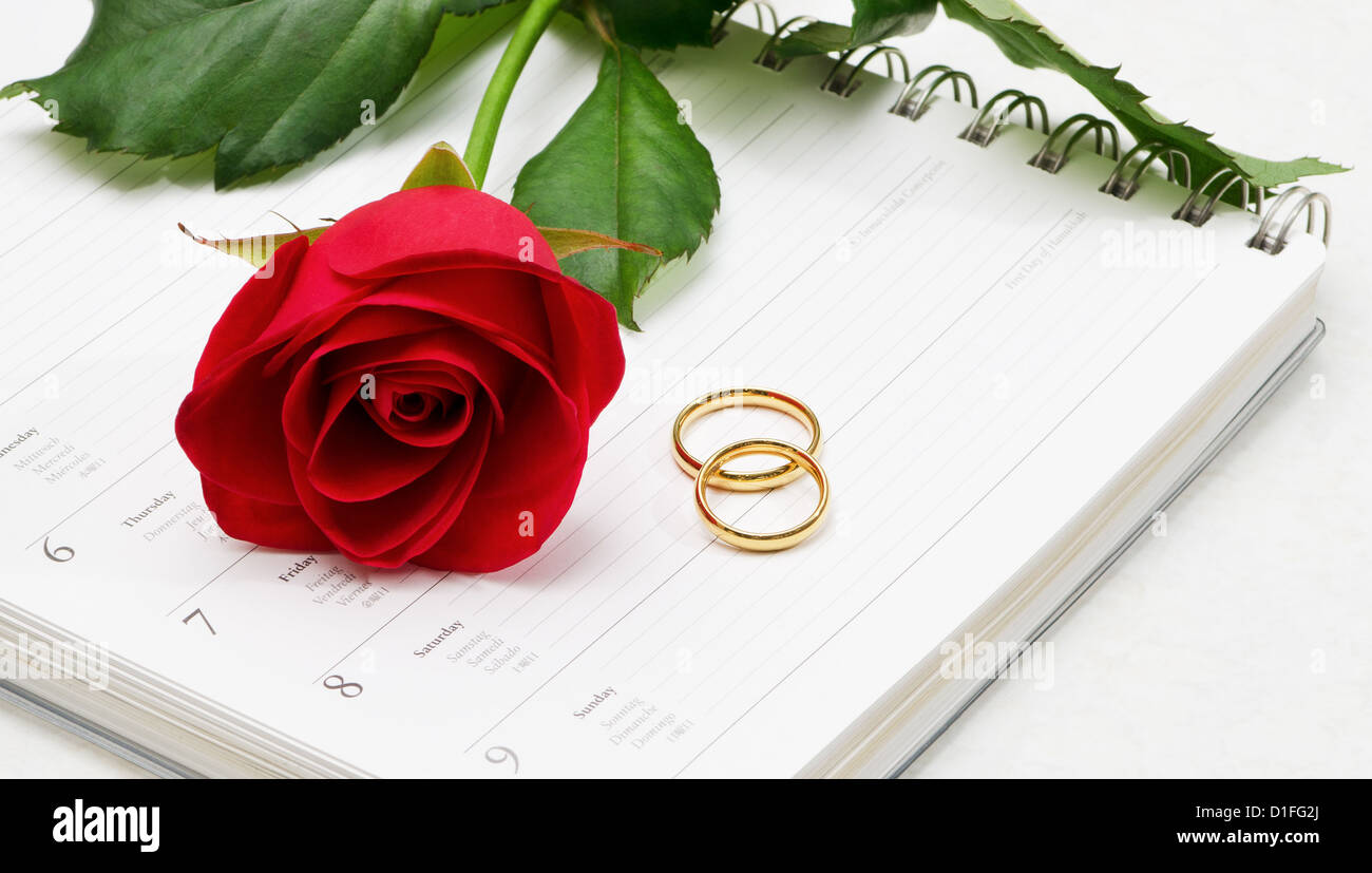 Anillos de boda & Rosa roja Foto de stock