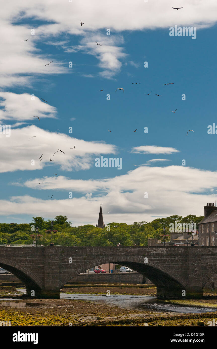 El Puente de Wick, Caithness, Escocia Highand; Río Wick en marea baja; el cielo azul con nubes blancas y los pájaros que vuelan por encima. Foto de stock