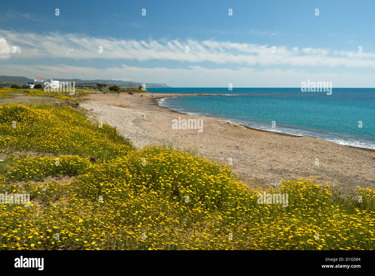 Playa aislada en primavera, cerca de Paphos, en Chipre, el Mediterráneo, Europa Foto de stock