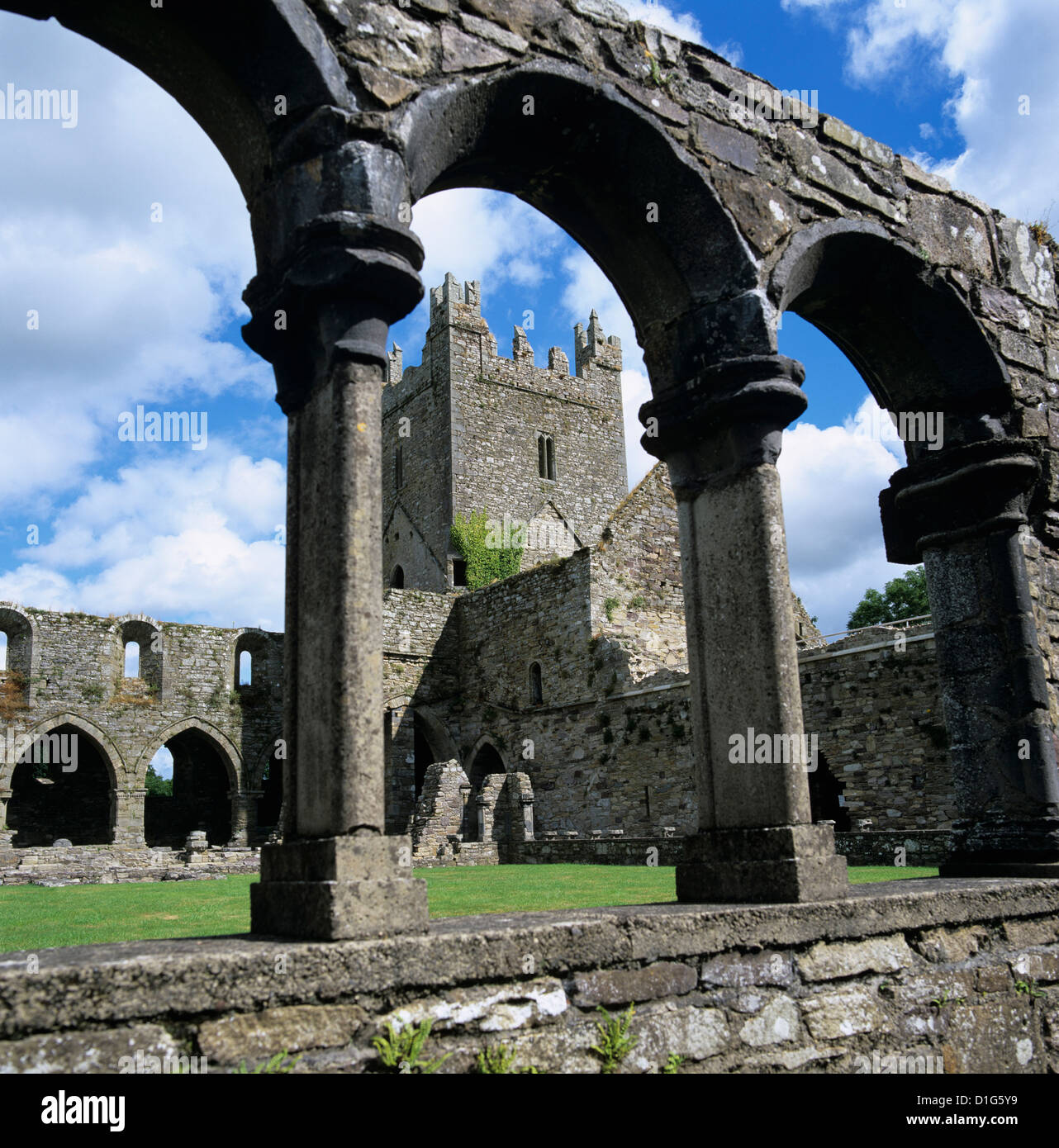 Ruinas de la Abadía de Jerpoint cisterciense, Jerpoint, condado de Kilkenny, Leinster, República de Irlanda, Europa Foto de stock