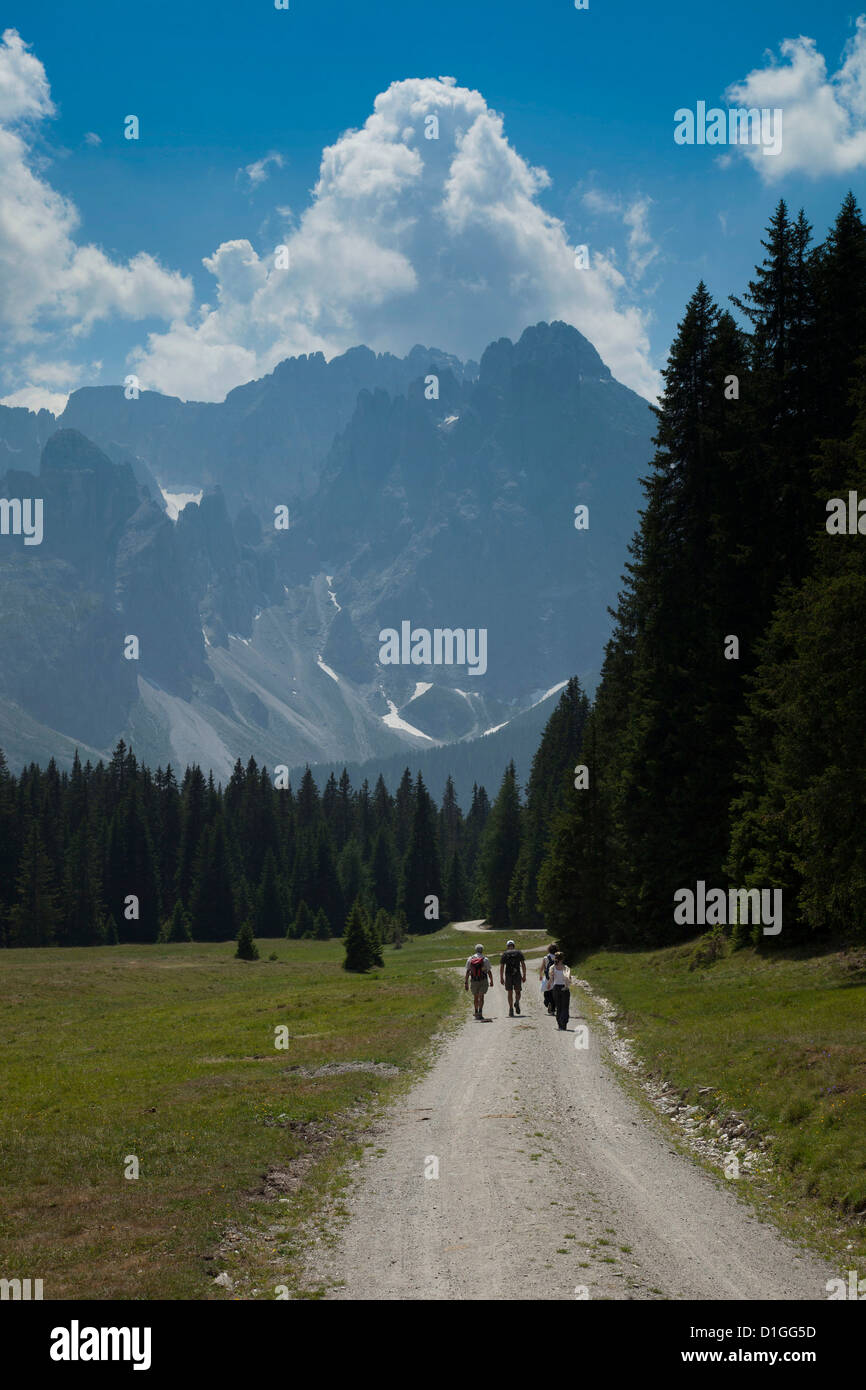 Italia, Trentino Alto Adigio, Alpe di Sesto, dolomita Foto de stock