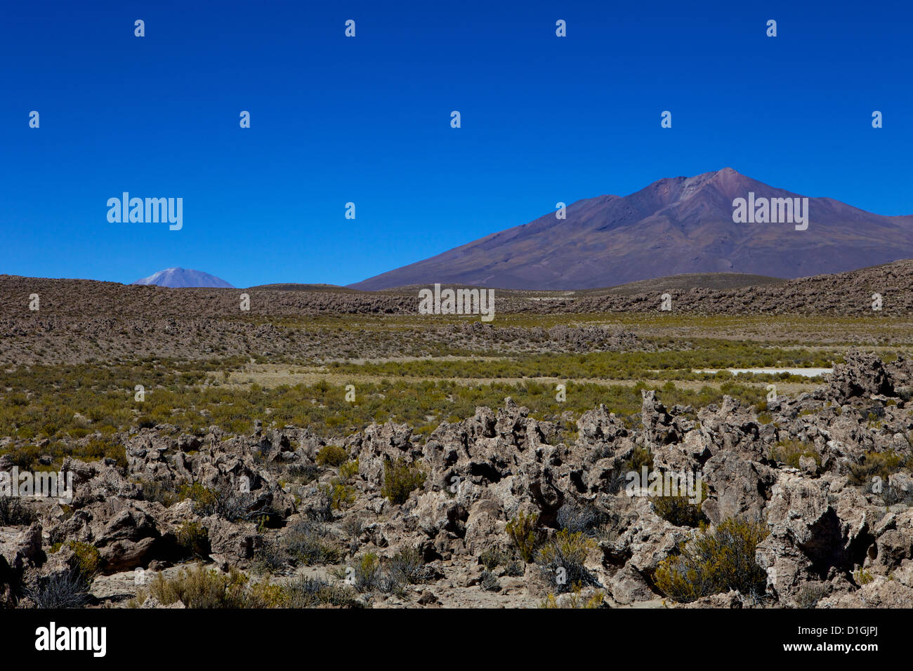 Southwest Altiplano, Bolivia, América del Sur Foto de stock