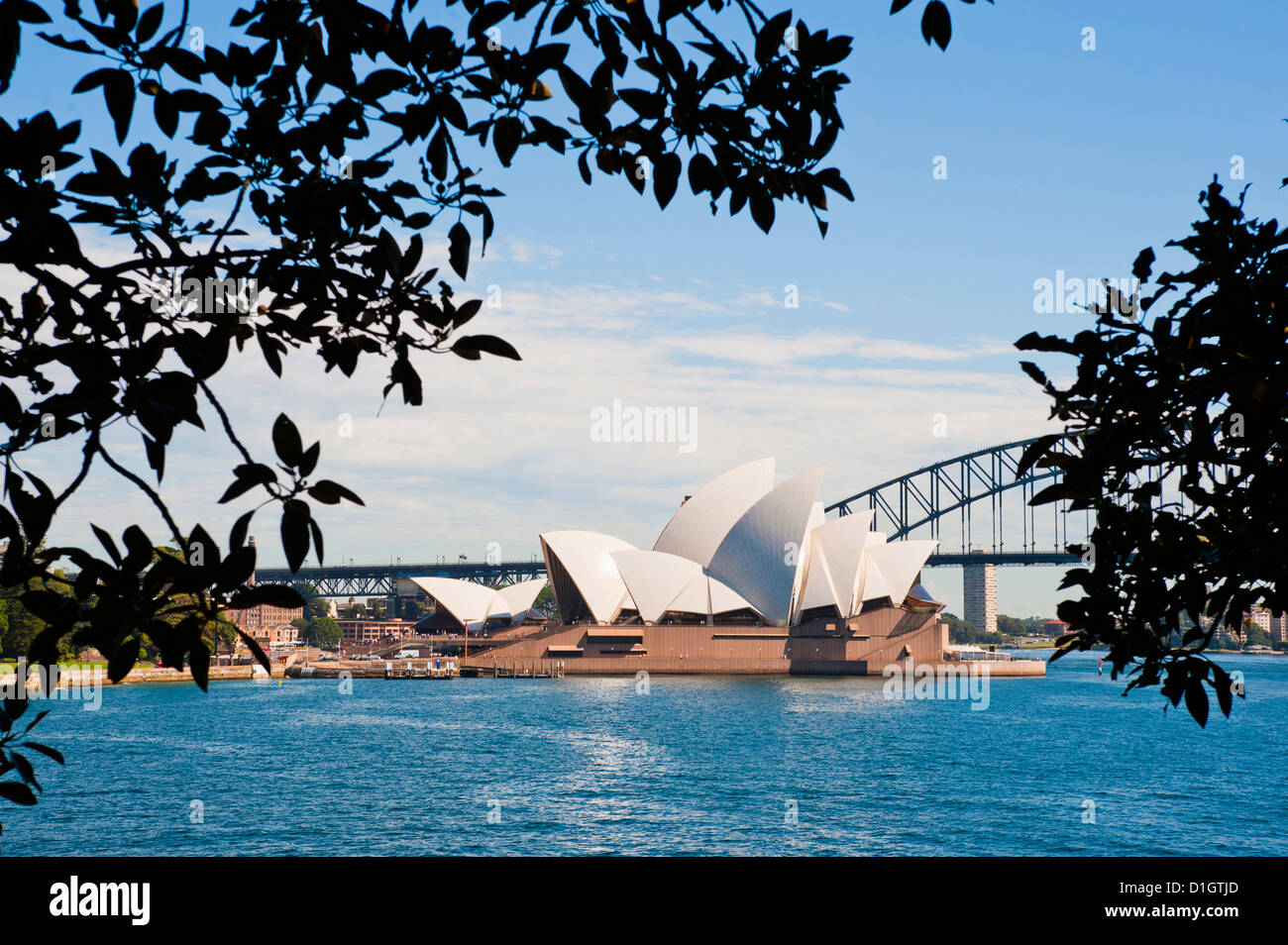 Sydney Opera House y el puente de los Jardines Botánicos de Sydney, Sydney, New South Wales, Australia, el Pacífico Foto de stock