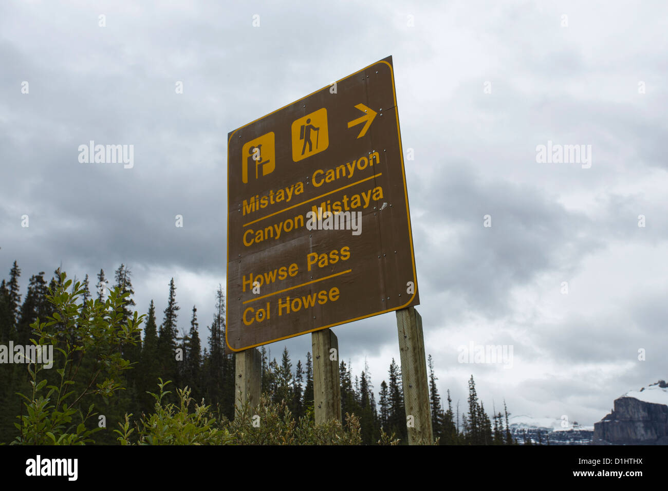 Cañón Mistaya firmar a lo largo de la carretera Icefields Parkway en el Parque Nacional Banff, en Alberta, Canadá en las Rocosas Canadienses. Foto de stock