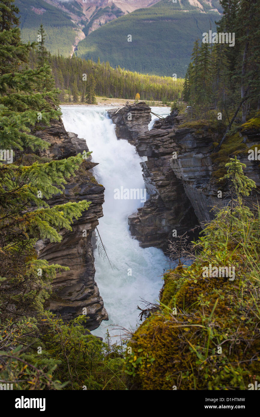 Athabasca Falls a lo largo de la carretera Icefields Parkway en el Parque Nacional de Jasper en Alberta, Canadá en las Rocosas Canadienses. Foto de stock