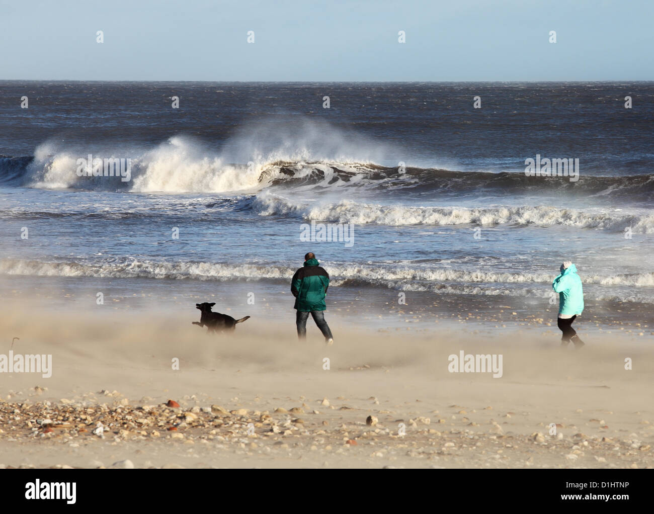 Paseadores de perros lucha contra los fuertes vientos y remolinos de arena del noreste de Inglaterra Sunderland Roker Foto de stock