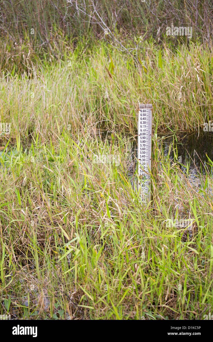Marcador de nivel de agua en el Parque Nacional Everglades eFlorida Foto de stock