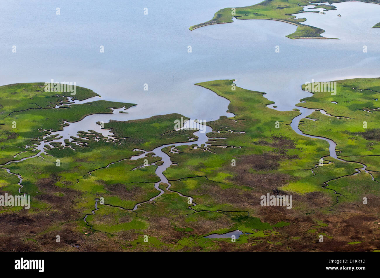 Vista aérea de los humedales, el Dauphin Island, Alabama, EE.UU. Foto de stock