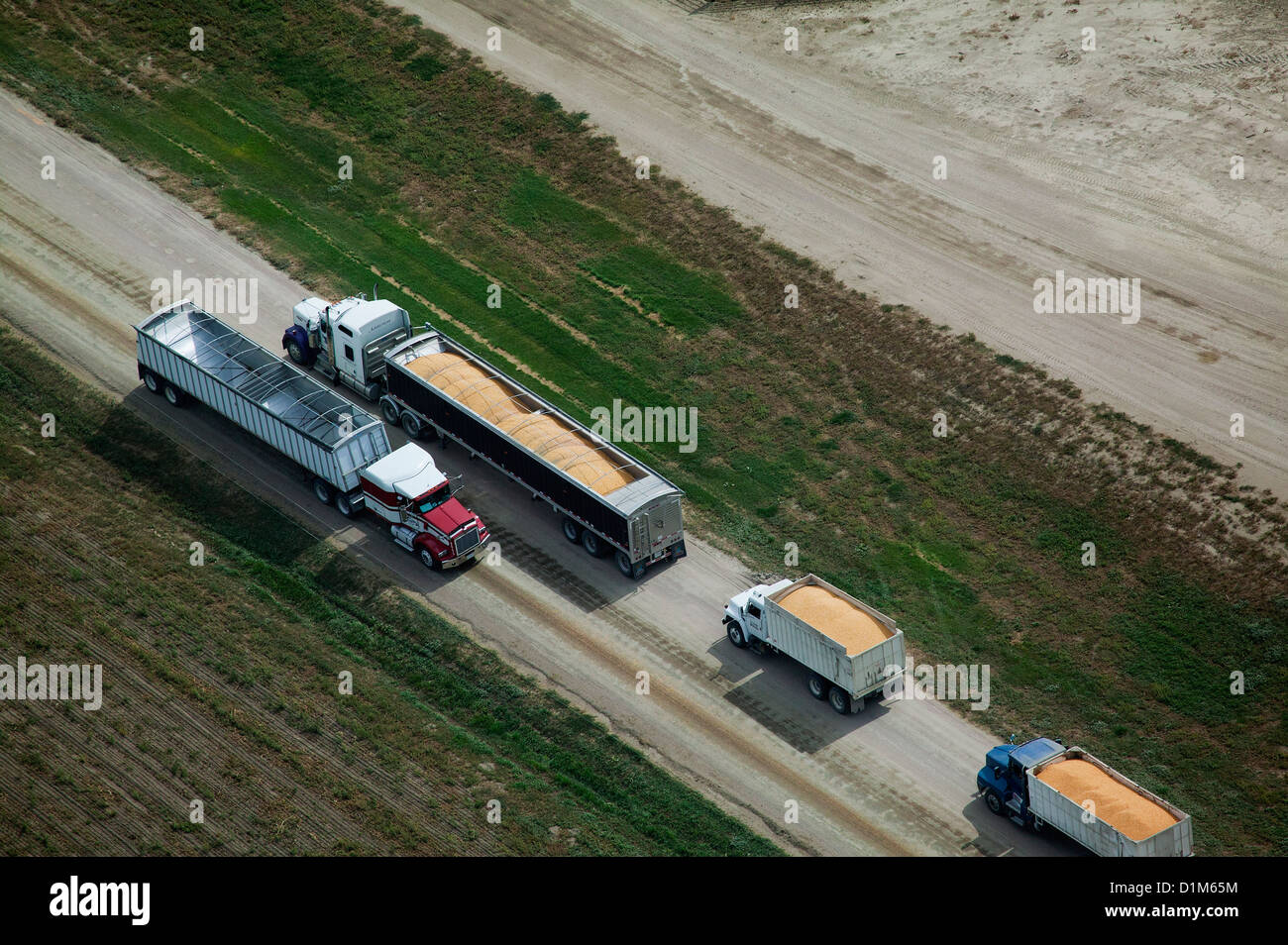 Fotografía aérea de entrega de la cosecha de maíz de Nebraska de corrales de engorde de ganado Foto de stock