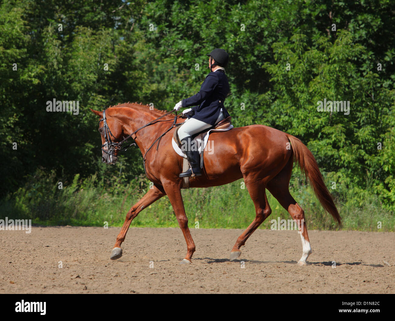 Equitación estilo inglés fotografías e imágenes de alta resolución - Alamy