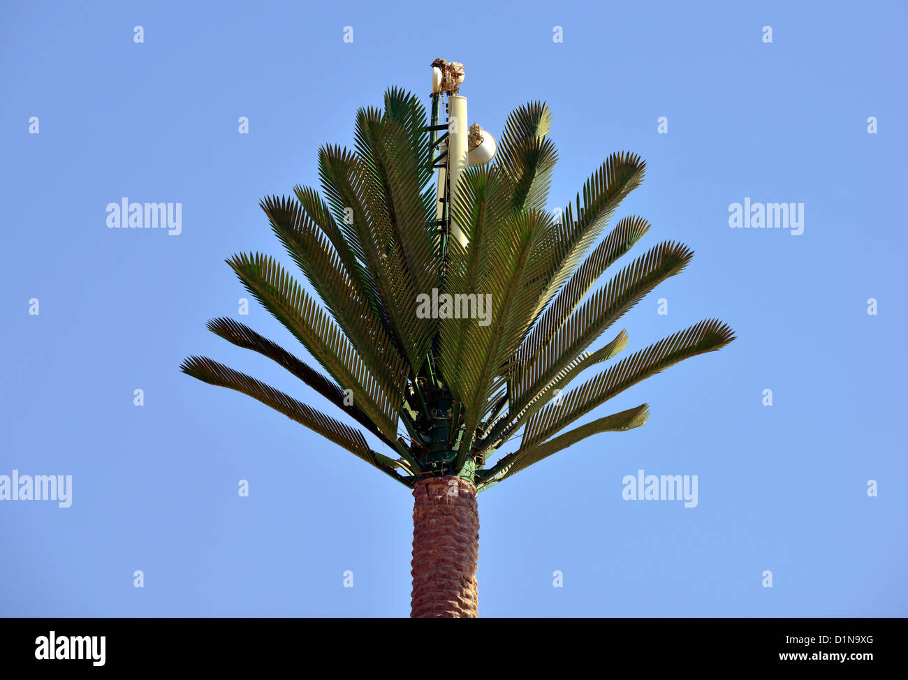 Mástil móvil disfrazado como una palmera, teléfono móvil, el mástil, Egipto Foto de stock