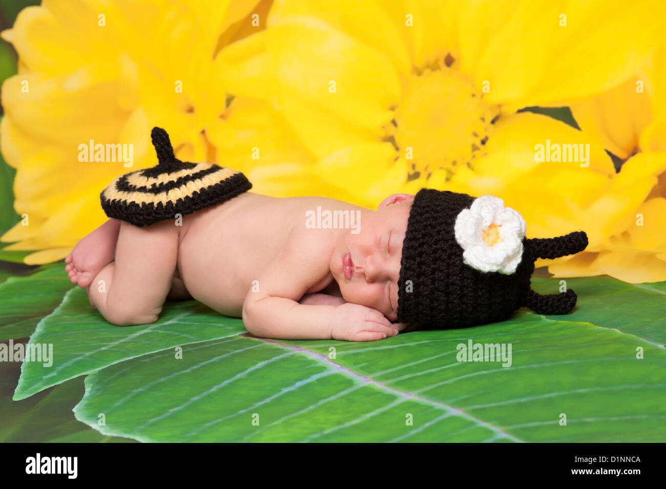 Disfraz de abeja amarilla negra fotografías e imágenes de alta resolución -  Alamy