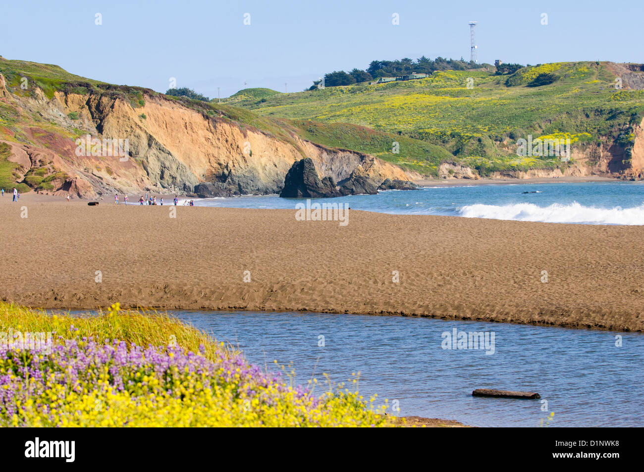 Rodeo Beach, Golden Gate National Recreation Area, Marin, California, EE.UU. Foto de stock