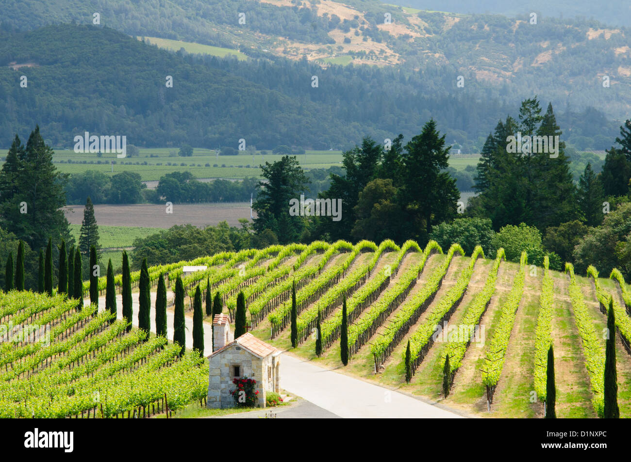 Castello Di Amorosa Winery, Napa Valley, California. Foto de stock