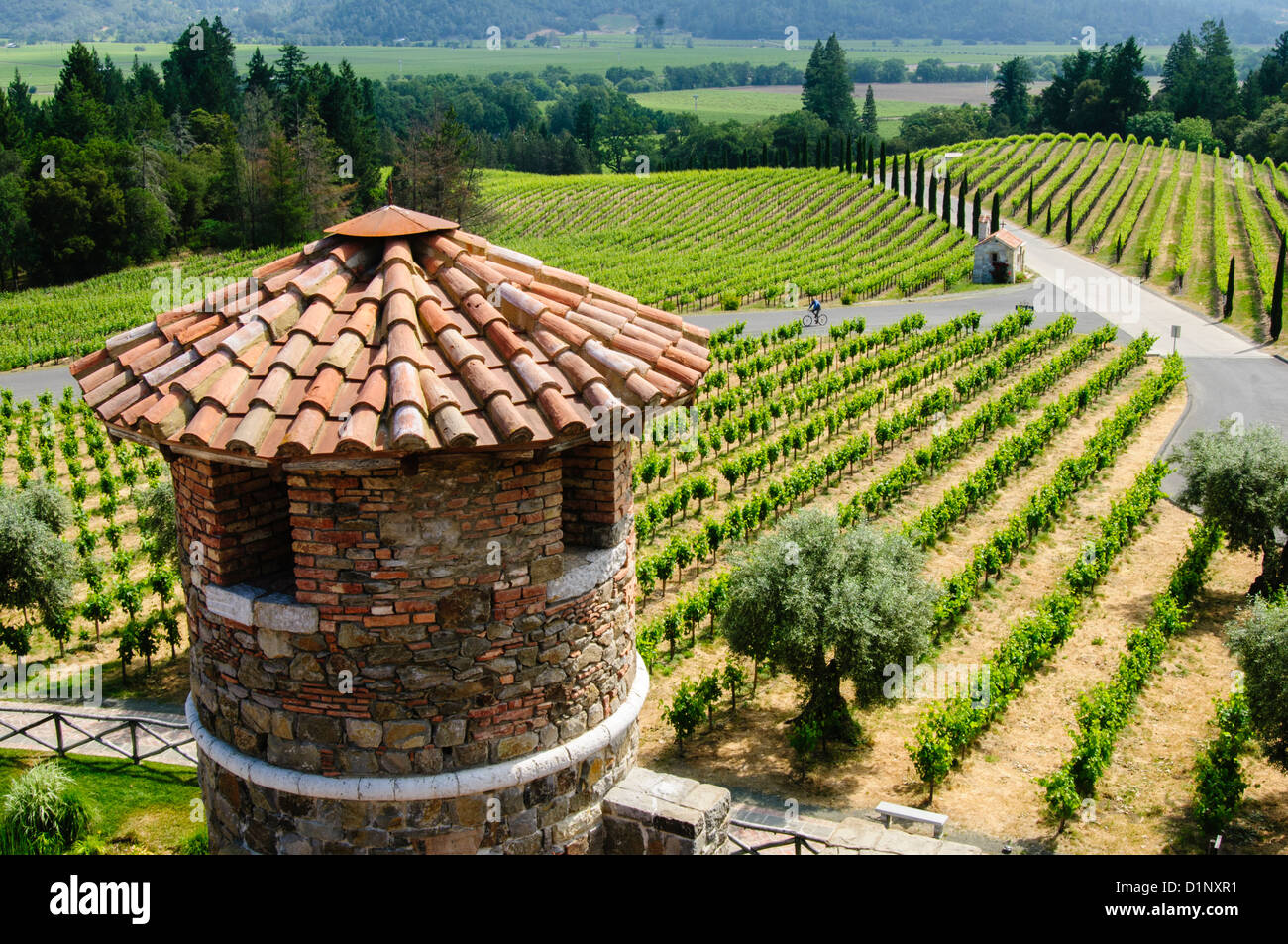 Castello Di Amorosa Winery, Napa Valley, California. Foto de stock