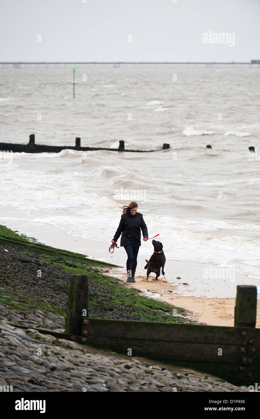 Una mujer paseando a su perro a lo largo de una playa. Foto de stock