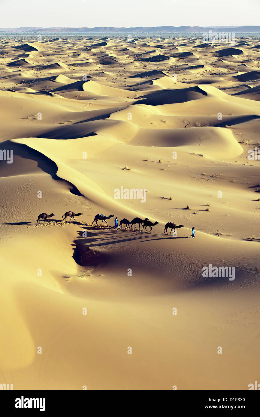 Marruecos, M'Hamid, Erg Chigaga dunas de arena. El desierto del Sahara. Conductores de camellos y la caravana de camellos. Foto de stock