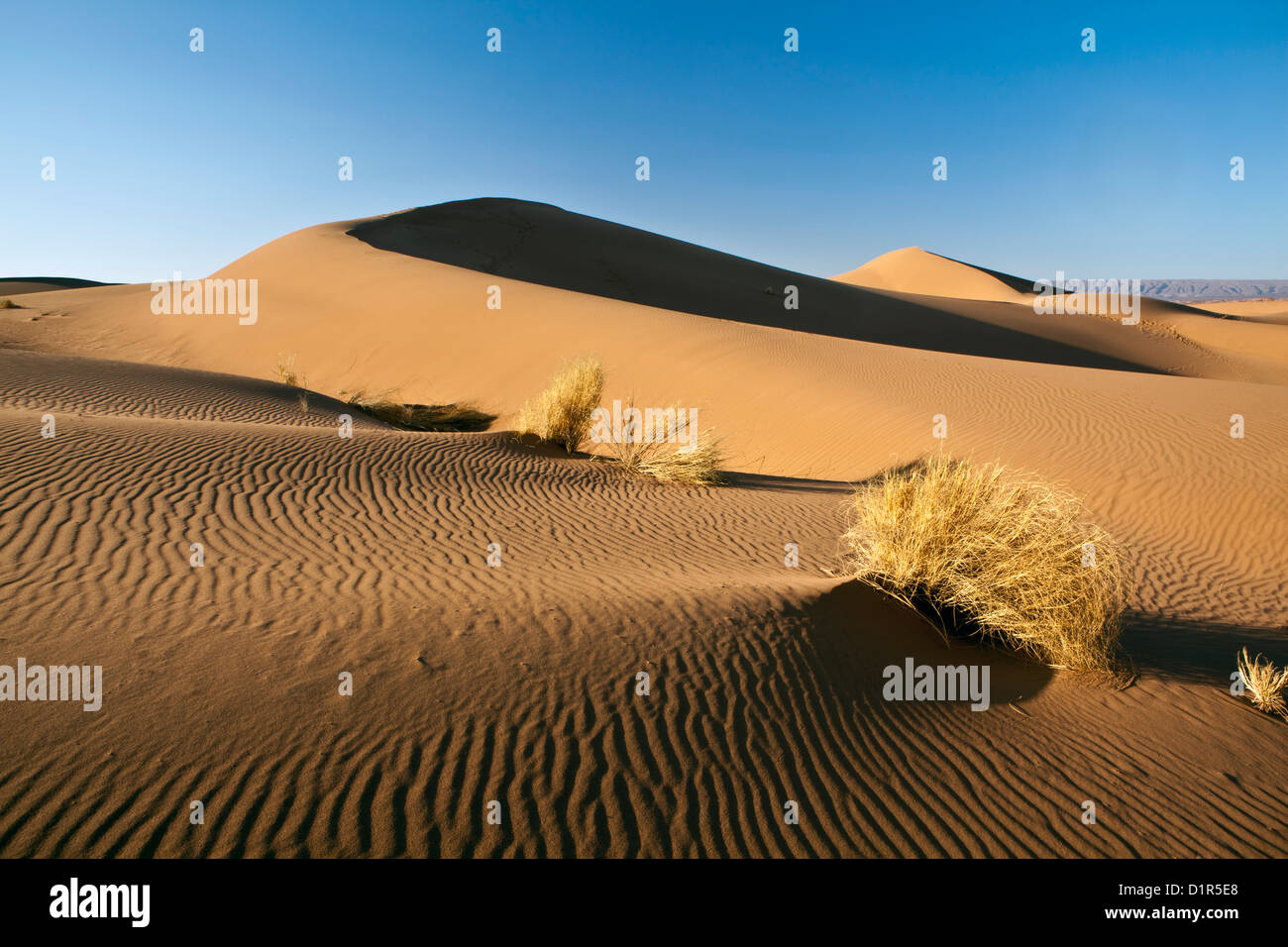 Marruecos, M'Hamid, Erg Chigaga dunas de arena. El desierto del Sahara. Campamento turístico, vivaque. Foto de stock