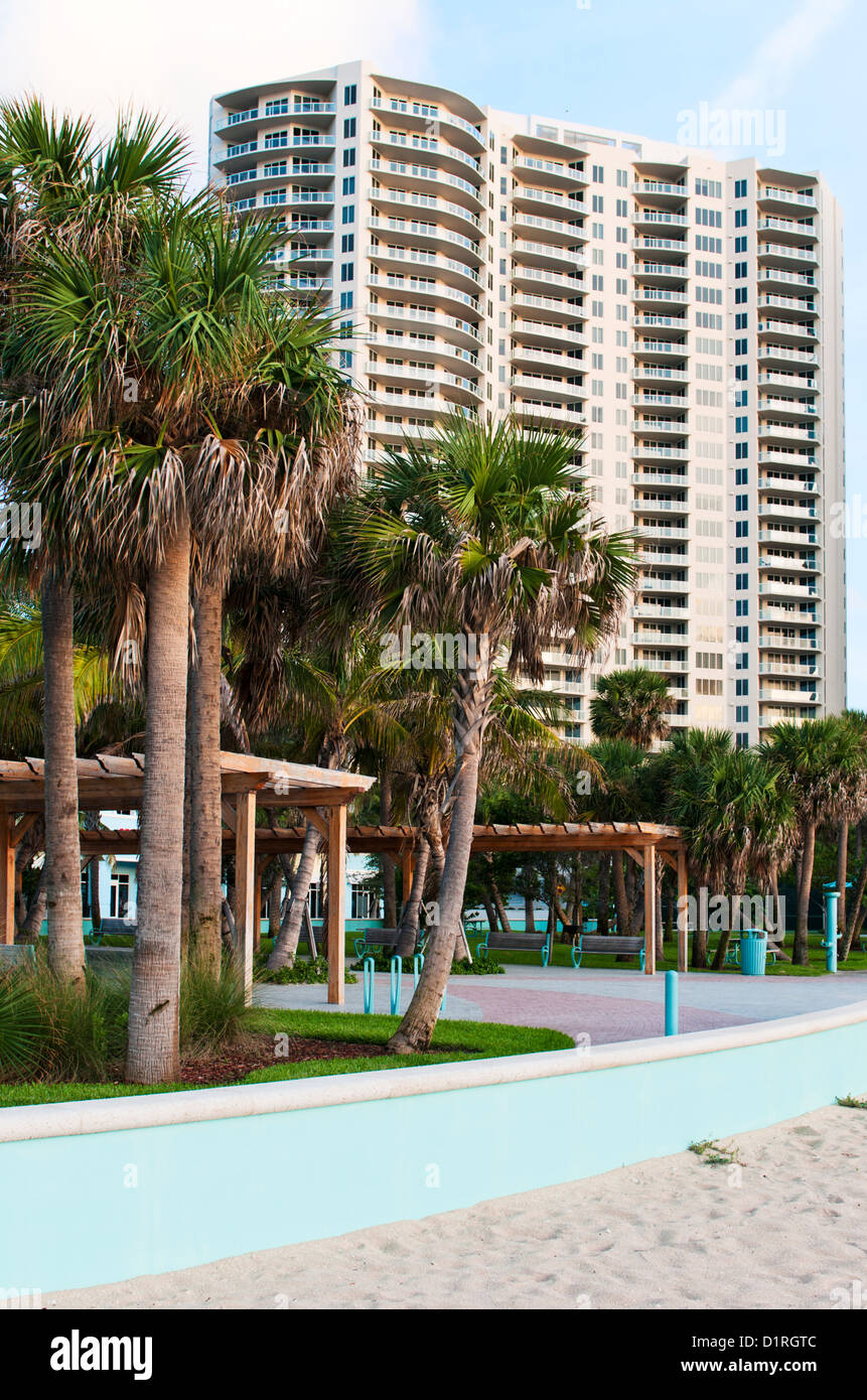 Palm Tree y condominio de gran altura en Isla Singer, Riviera Beach, Florida, EE.UU. Foto de stock