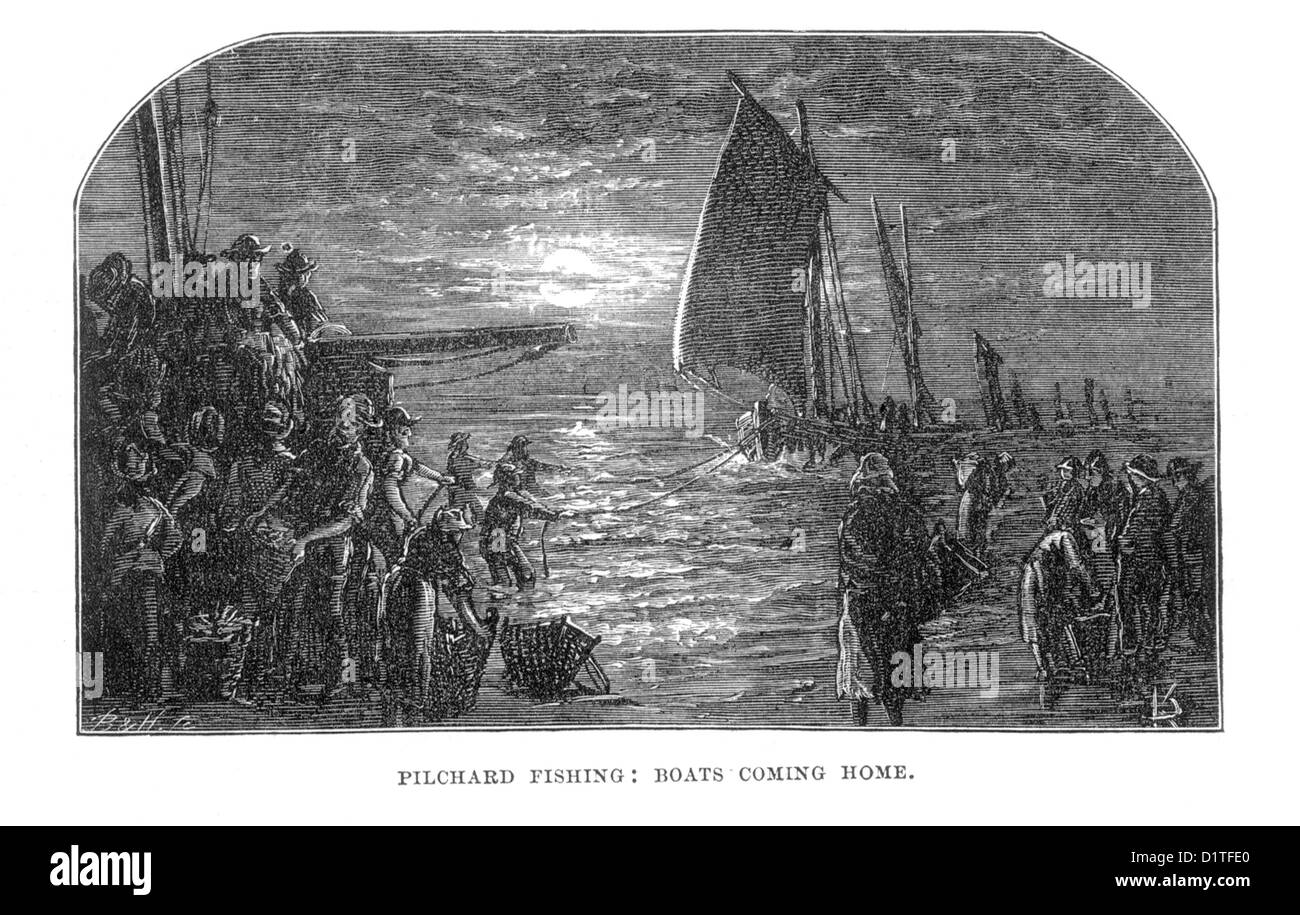 La sardina; botes de pesca Coming Home; Penzance, Cornwall; Ilustración de finales del siglo XIX. Foto de stock