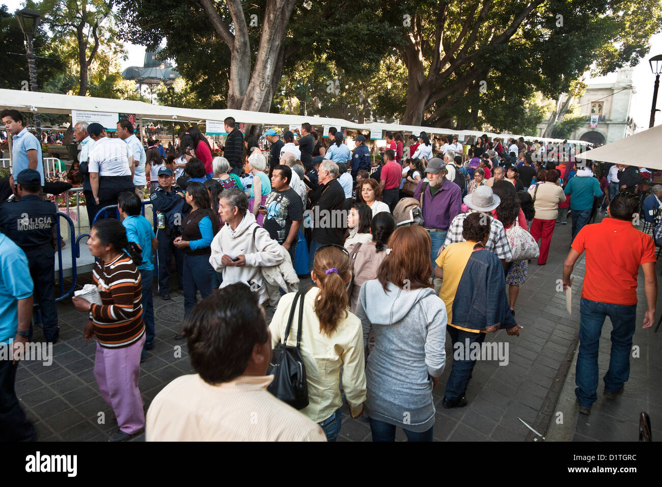 Clúster de multitudes que circulan detrás de barreras, junto con el Festival de rábano ver paseo intentando vislumbrar exhibe en Oaxaca de juarez Foto de stock