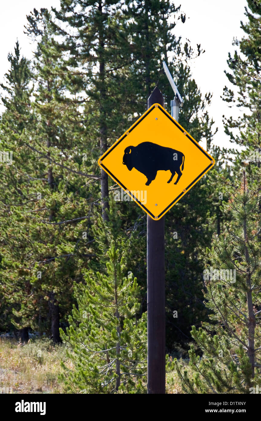 Señal de tráfico de color amarillo precaución bisontes - Parque Nacional Yellowstone, Wyoming, EE.UU. Foto de stock