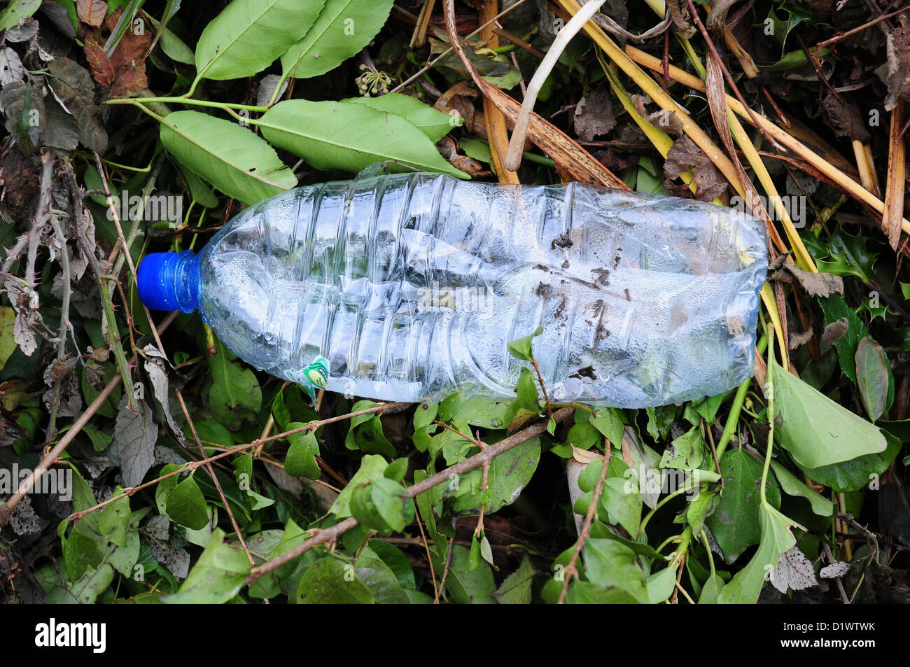 Botella de plástico tumbado en la cuneta banco. La contaminación. Foto de stock