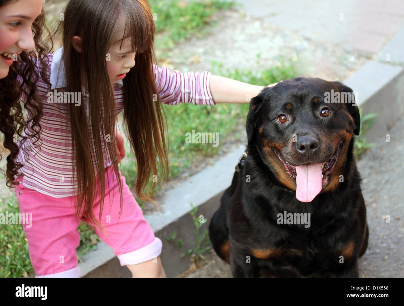 Little dog syndrome fotografías e imágenes de alta resolución - Alamy