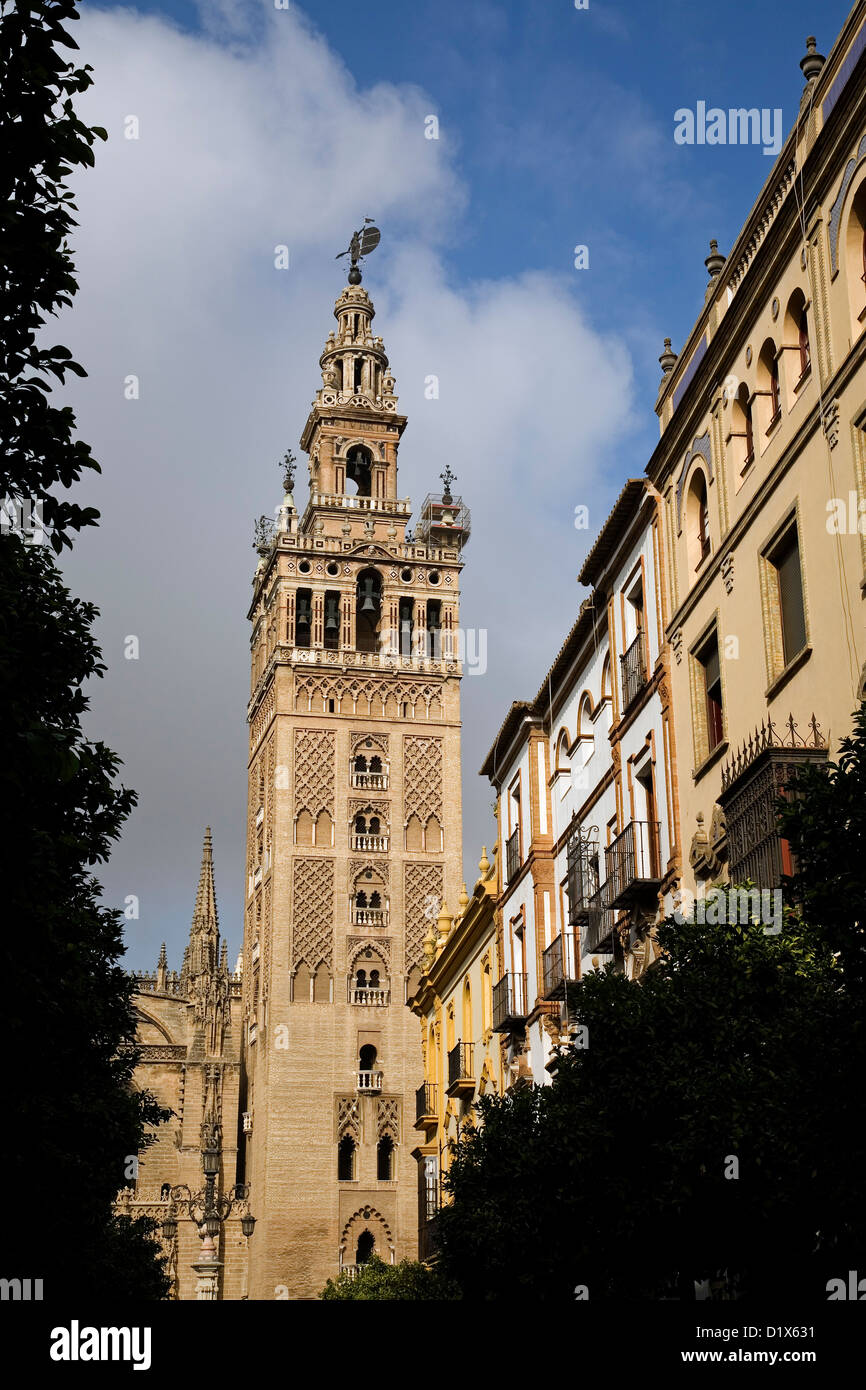 Catedral, Giralda Sevilla Andalucía España Foto de stock