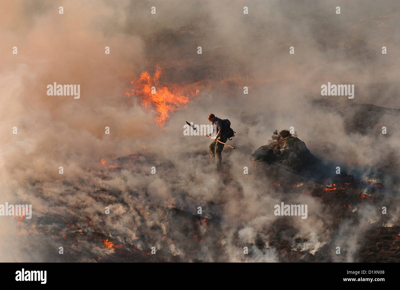 Batidor de fuego apagando las llamas en el campo Foto de stock