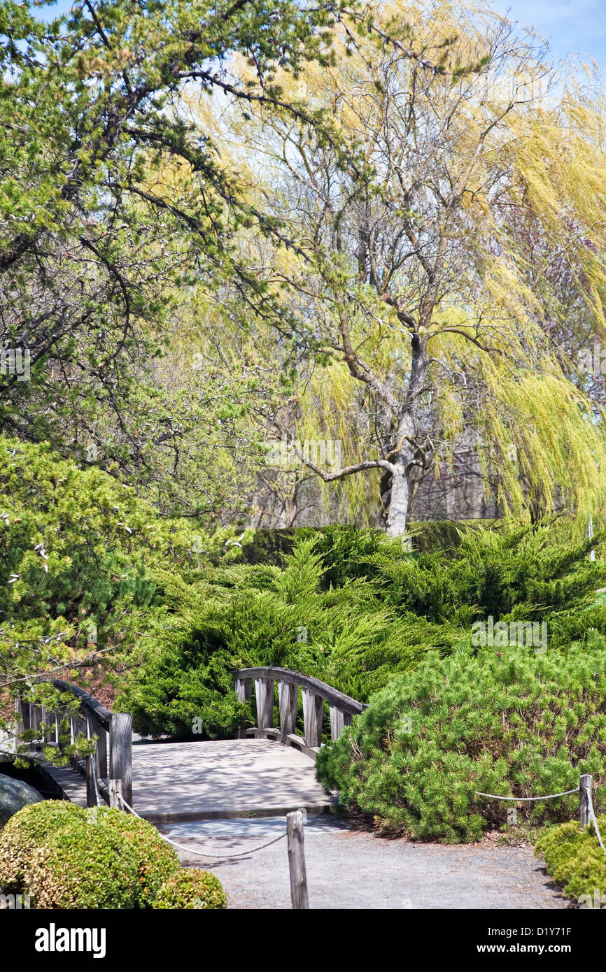 Vista del muelle de follaje y flores en el Jardín Botánico de Montreal en Montreal, Quebec, Canadá. Foto de stock