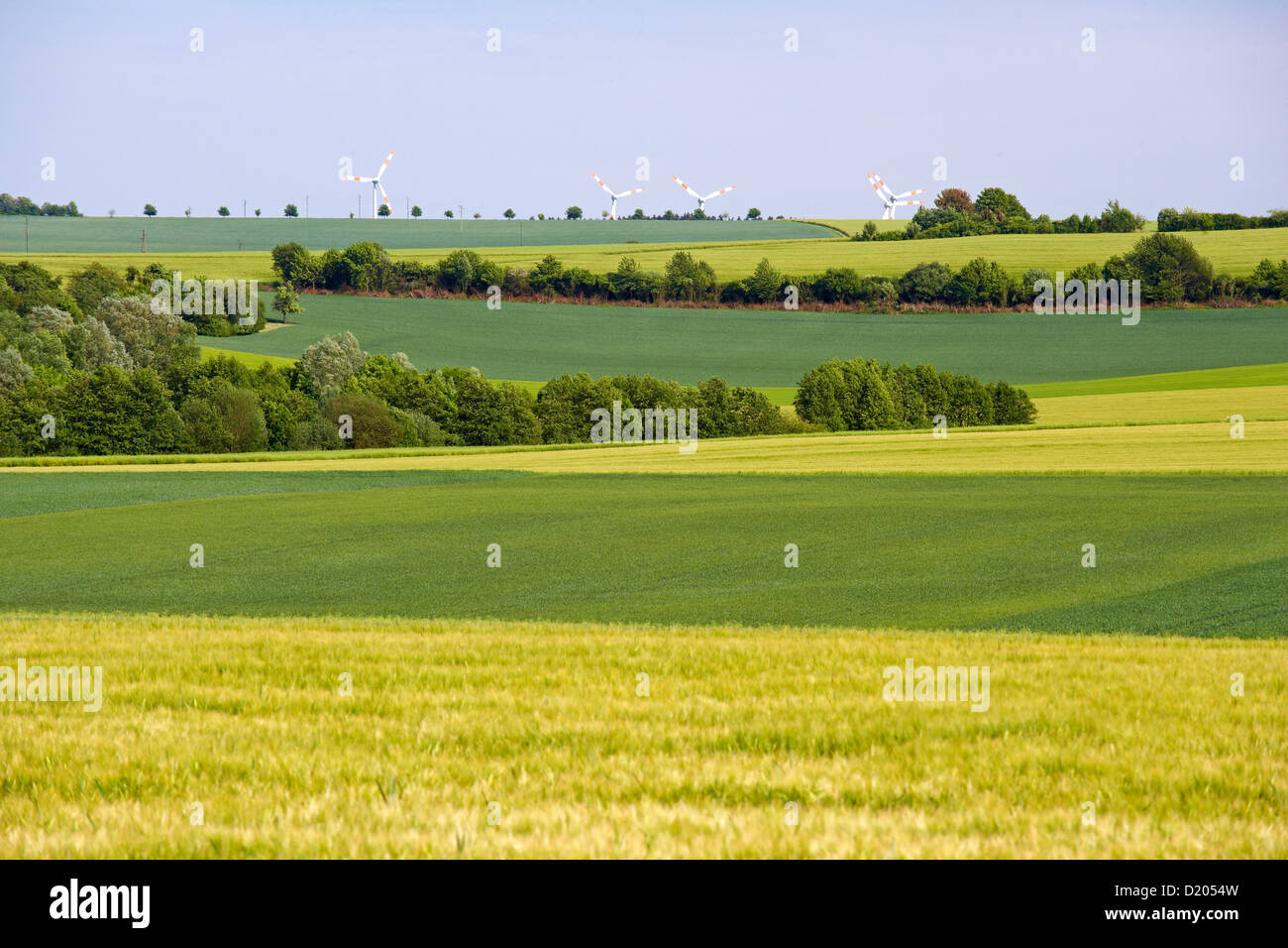 El paisaje agrícola entre Borg y Wehingen, Sarre, Alemania, Europa Foto de stock