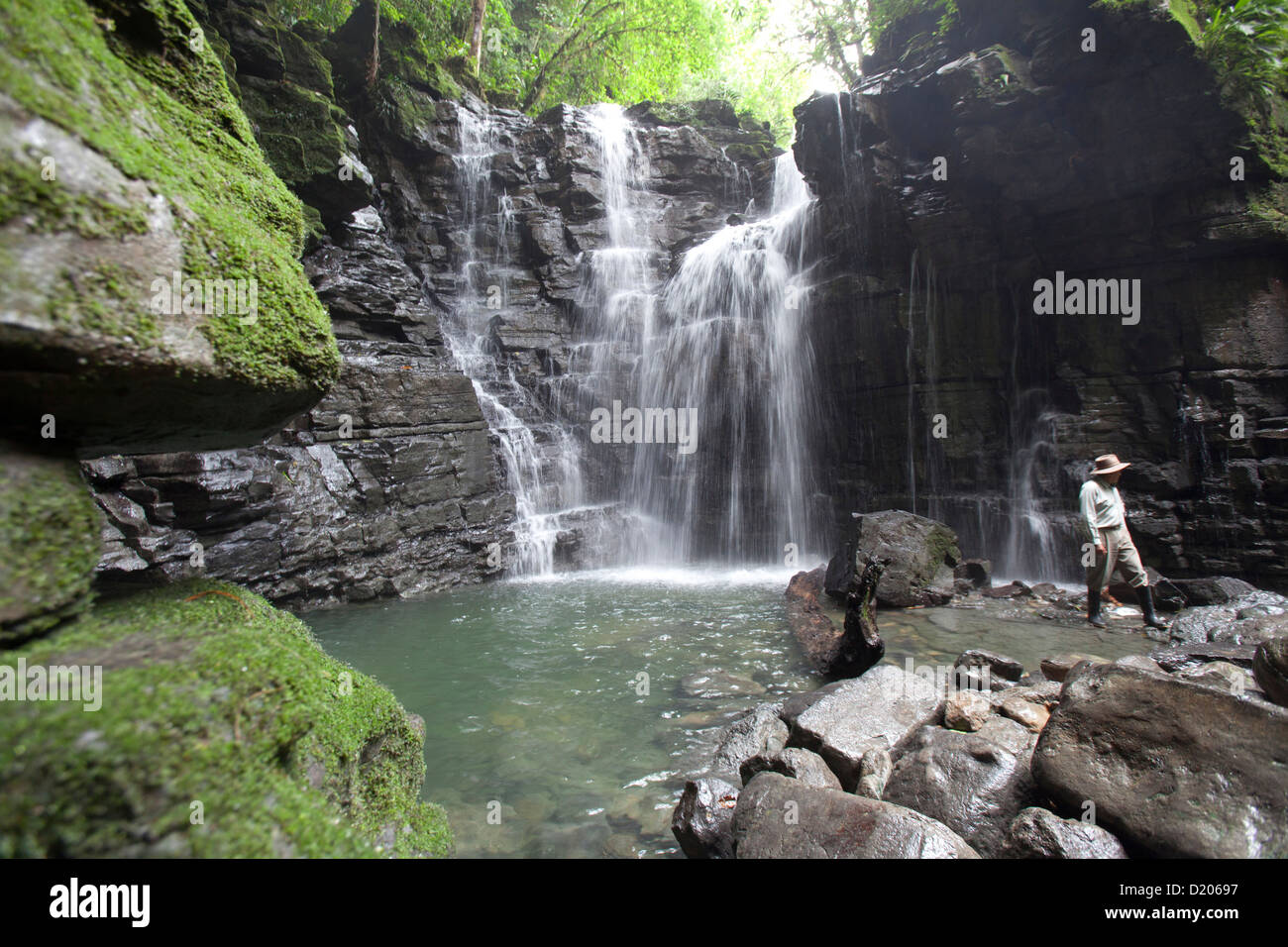 Cascadas de agua, la cascada de Latas, Amazone, Ecuador, Sudamérica Foto de stock
