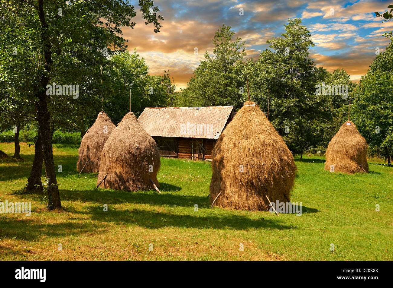Ricks heno tradicional en un campo cerca de Breb arboladas, Nr Sighlet, Maramures, Transilvania Foto de stock