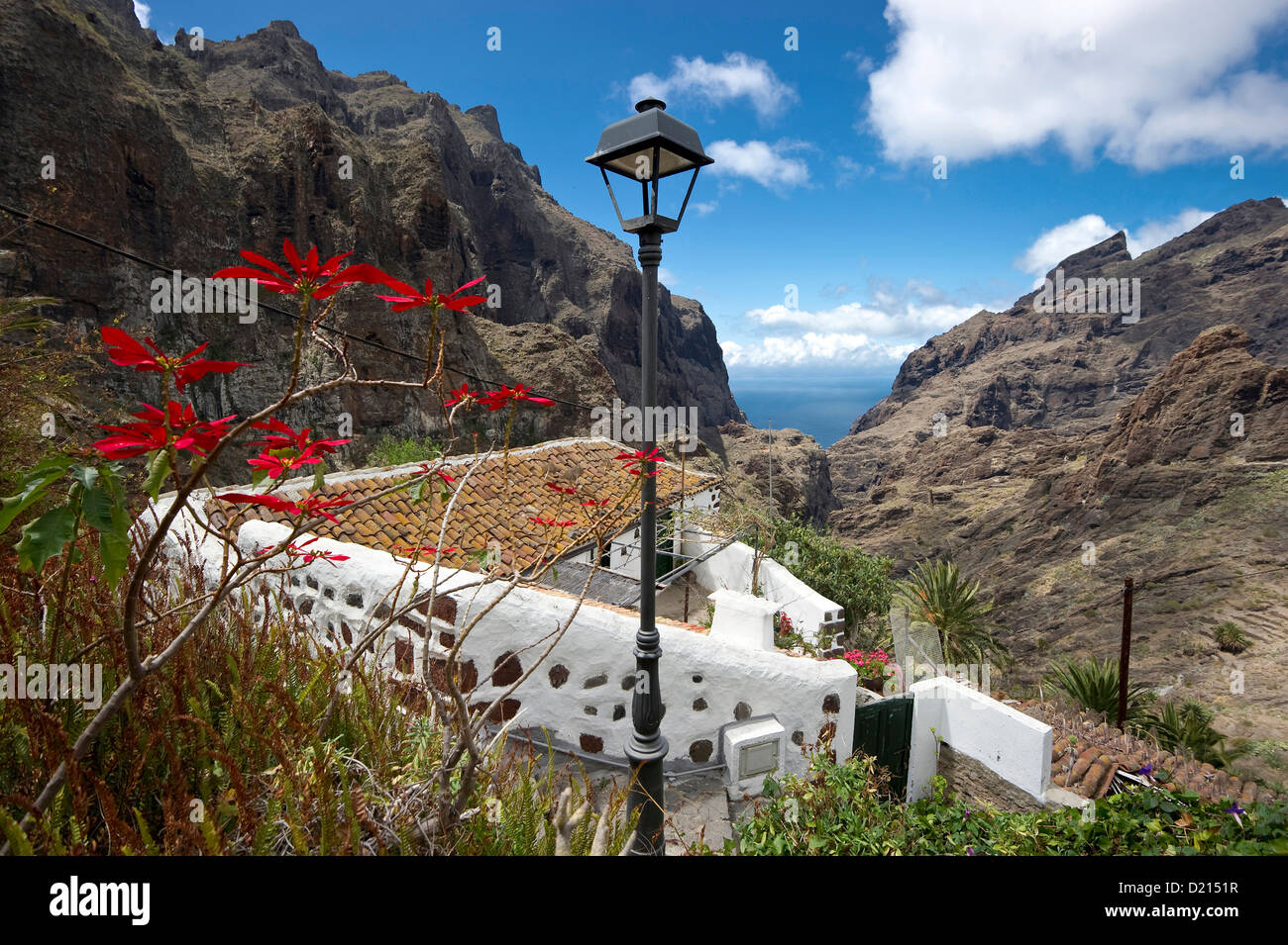 Aldea de montaña de Masca en las montañas Teno, Tenerife, Islas Canarias, España, Europa Foto de stock