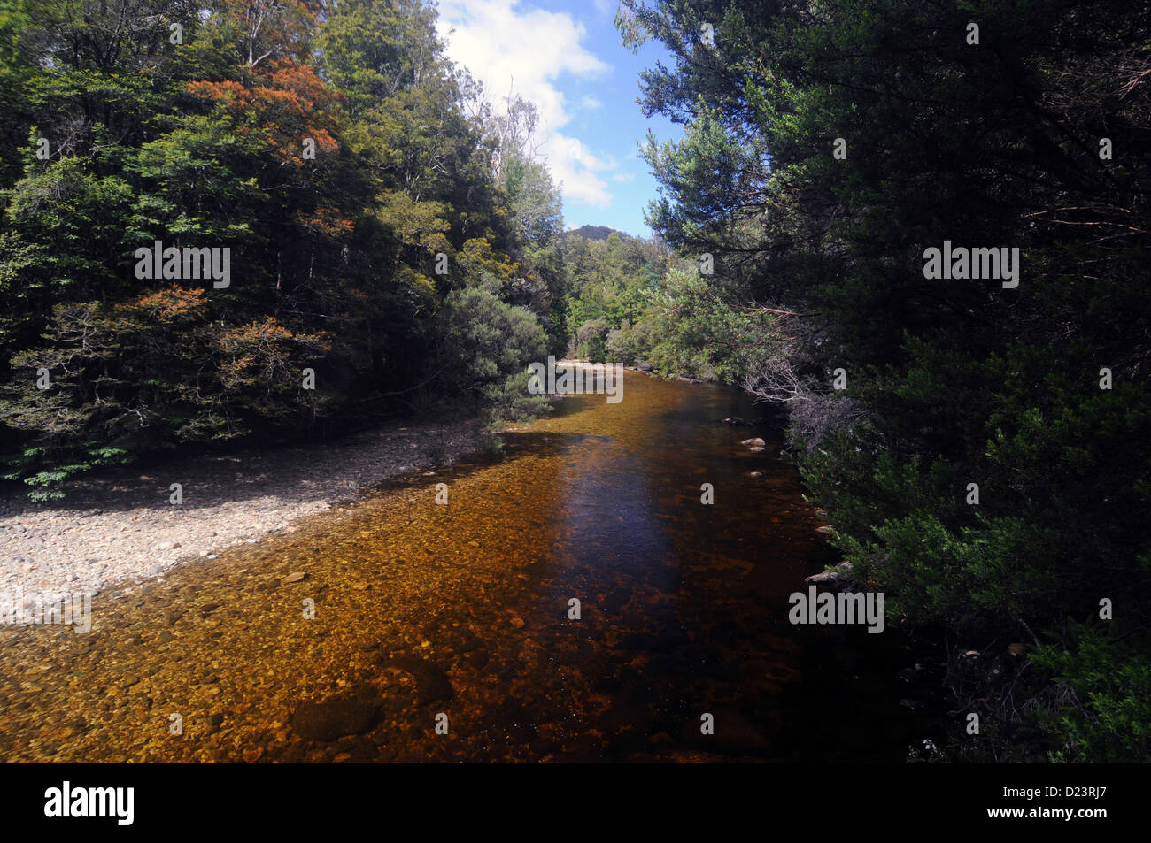 Franklin Río al inicio de la pista, tapa de Frenchman's Wild Rivers National Park, Tasmania, Australia Foto de stock