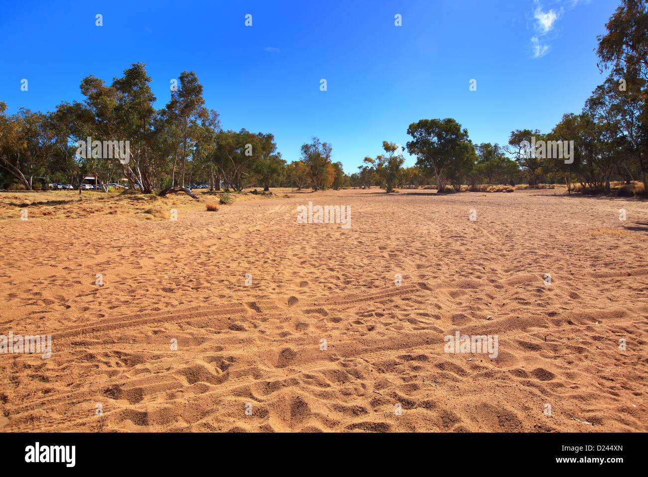 El río Todd Alice Springs. Foto de stock
