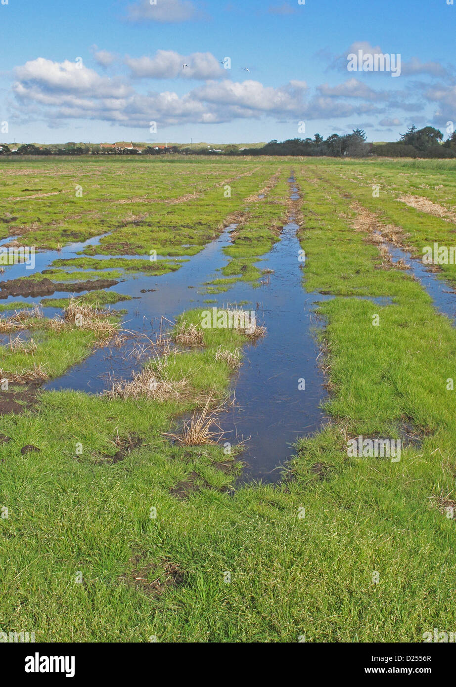 Vistas de nivel superior recién creada "Rectoría" en el antiguo campo de tierra cultivable con inundaciones debido al aumento deliberado en Foto de stock