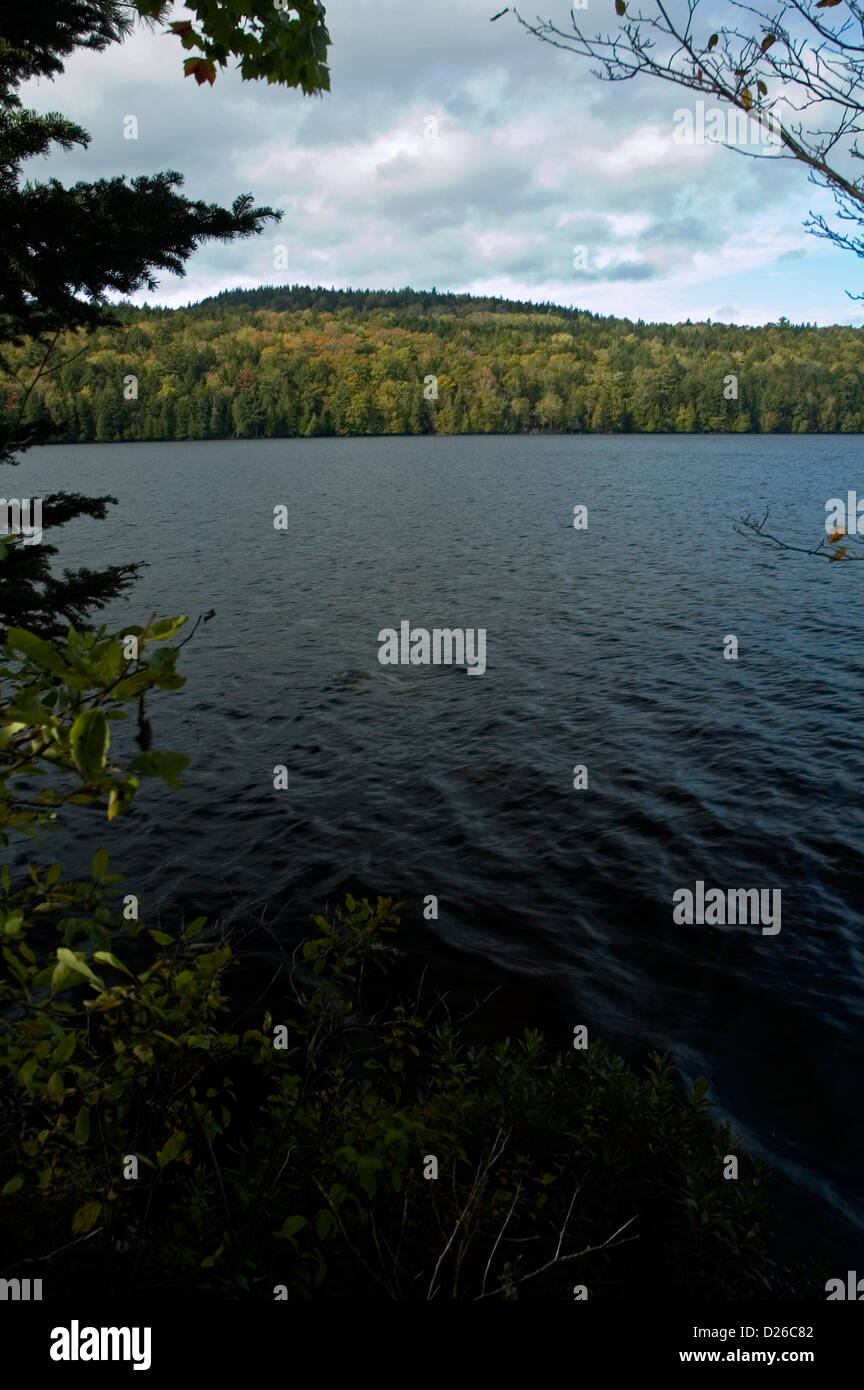 Ecosistema de maine fotografías e imágenes de alta resolución Alamy
