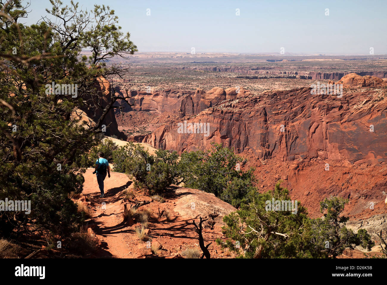 Excursionista Parque Nacional Canyonlands UT Foto de stock