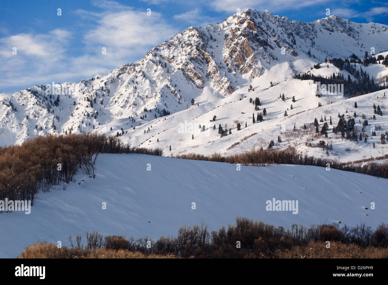 Utah montañas Wasatch invierno Foto de stock