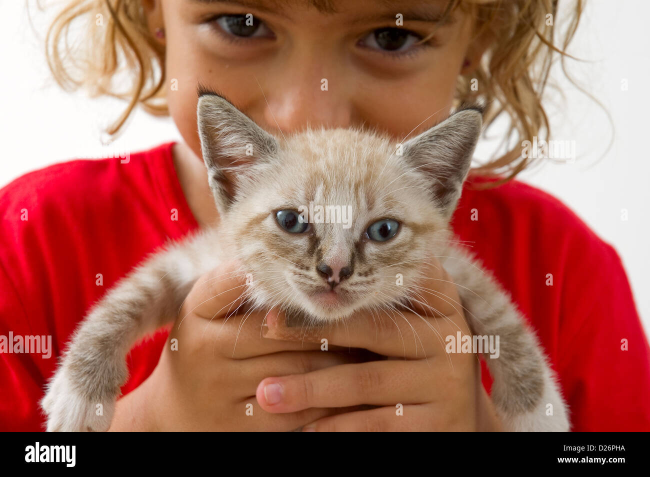 Chica con kitty sonriente foto de estudio Foto de stock