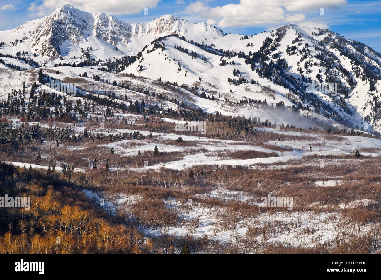 Utah montañas Wasatch invierno Foto de stock