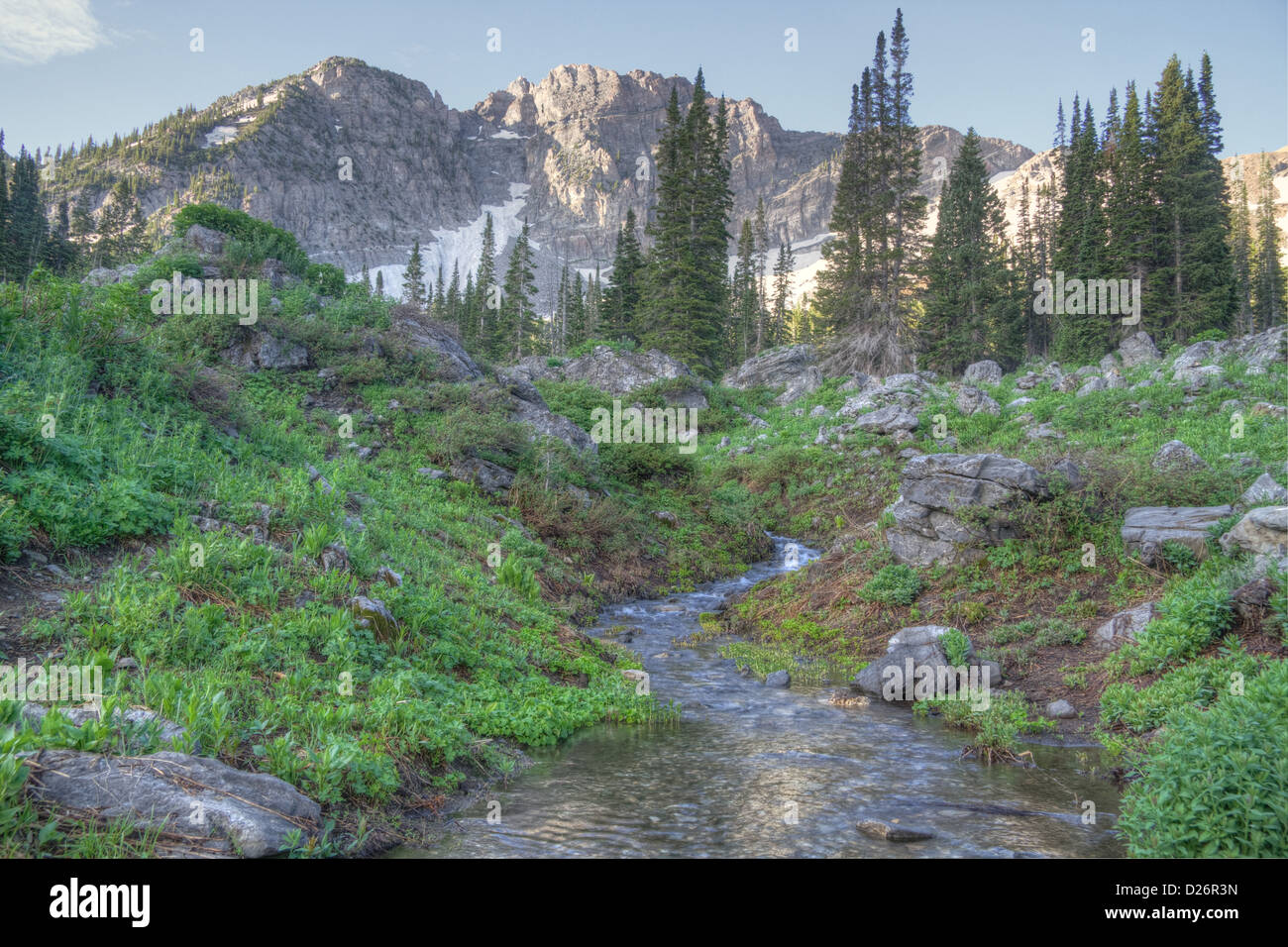 Las Montañas Wasatch, Utah Foto de stock